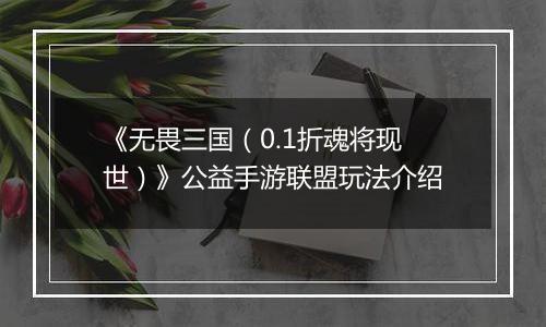 《无畏三国（0.1折魂将现世）》公益手游联盟玩法介绍