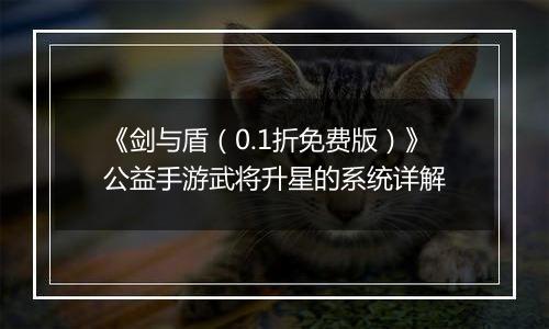 《剑与盾（0.1折免费版）》公益手游武将升星的系统详解