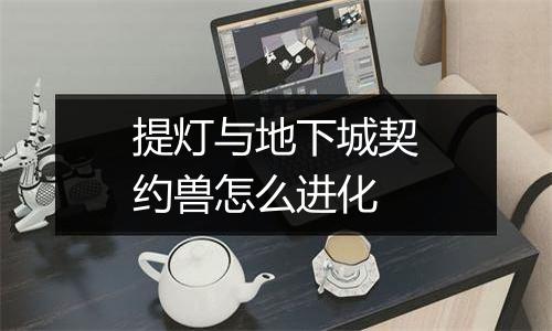 提灯与地下城契约兽怎么进化