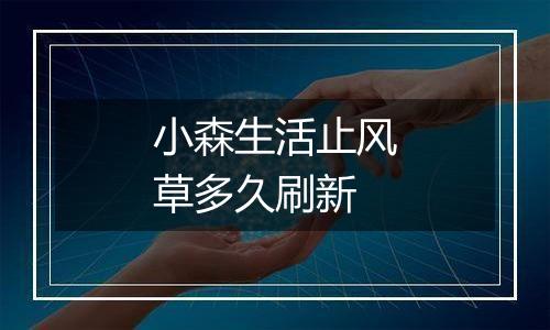 小森生活止风草多久刷新