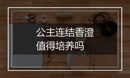 公主连结香澄值得培养吗