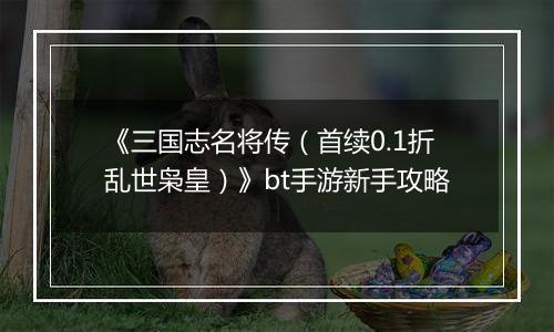 《三国志名将传（首续0.1折乱世枭皇）》bt手游新手攻略