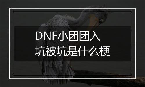 DNF小团团入坑被坑是什么梗