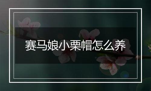 赛马娘小栗帽怎么养