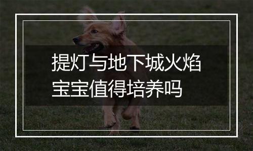 提灯与地下城火焰宝宝值得培养吗