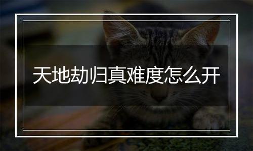 天地劫归真难度怎么开