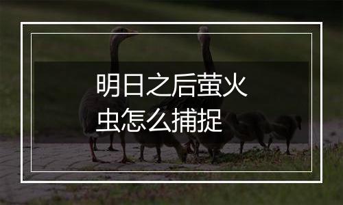 明日之后萤火虫怎么捕捉