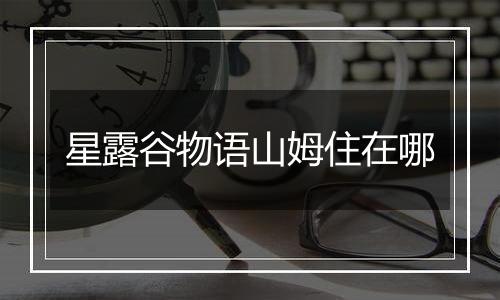 星露谷物语山姆住在哪