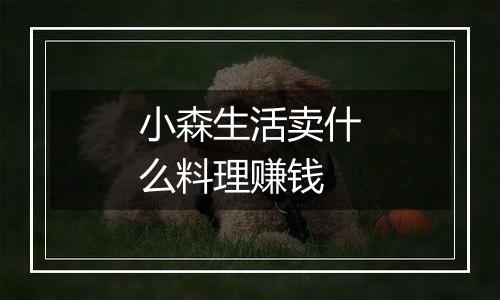 小森生活卖什么料理赚钱