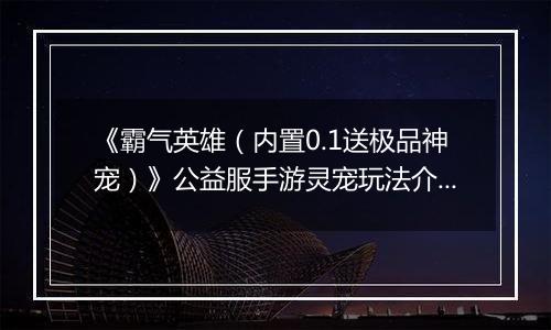 《霸气英雄(内置0.1送极品神宠)》公益服手游灵宠玩法介绍