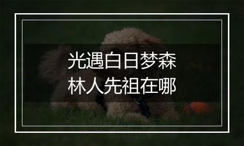 光遇白日梦森林人先祖在哪