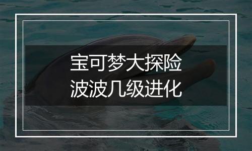 宝可梦大探险波波几级进化