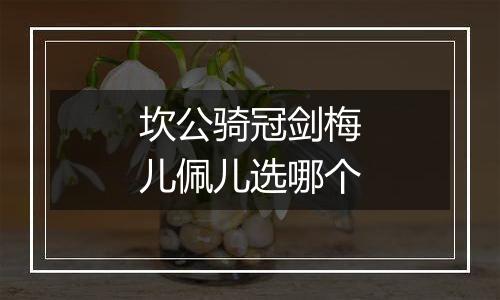 坎公骑冠剑梅儿佩儿选哪个