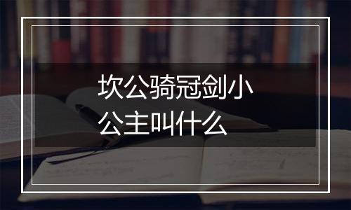 坎公骑冠剑小公主叫什么