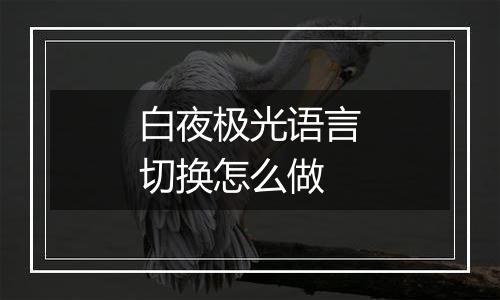 白夜极光语言切换怎么做