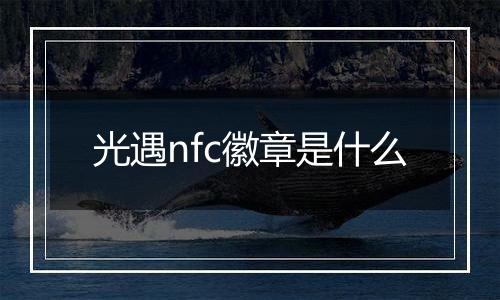 光遇nfc徽章是什么