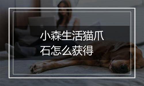 小森生活猫爪石怎么获得