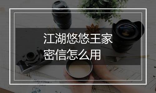 江湖悠悠王家密信怎么用