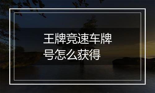 王牌竞速车牌号怎么获得