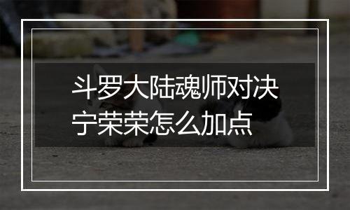 斗罗大陆魂师对决宁荣荣怎么加点