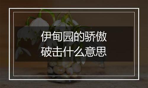 伊甸园的骄傲破击什么意思