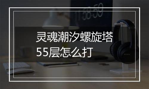 灵魂潮汐螺旋塔55层怎么打