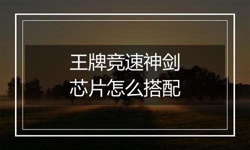 王牌竞速神剑芯片怎么搭配