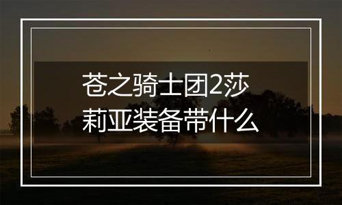 苍之骑士团2莎莉亚装备带什么