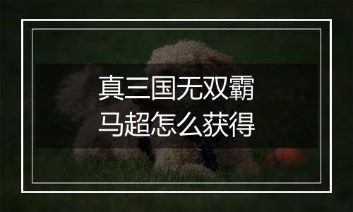 真三国无双霸马超怎么获得