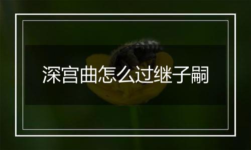 深宫曲怎么过继子嗣