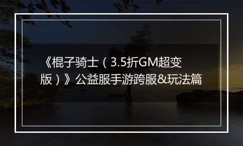 《棍子骑士（3.5折GM超变版）》公益服手游跨服&玩法篇