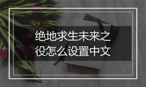 绝地求生未来之役怎么设置中文