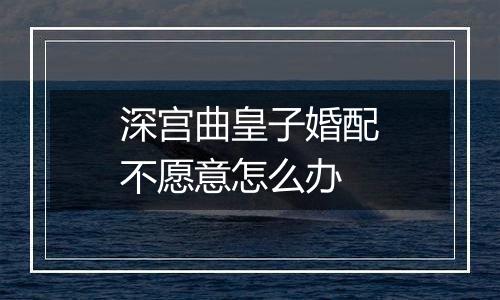 深宫曲皇子婚配不愿意怎么办