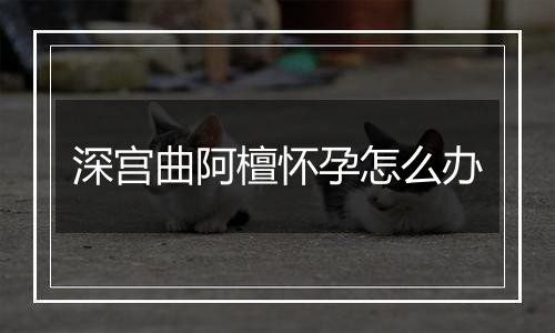 深宫曲阿檀怀孕怎么办