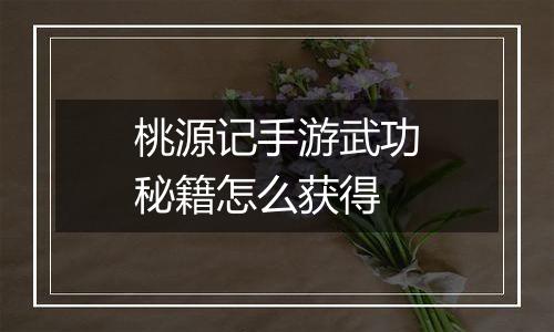 桃源记手游武功秘籍怎么获得