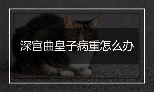 深宫曲皇子病重怎么办