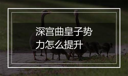 深宫曲皇子势力怎么提升