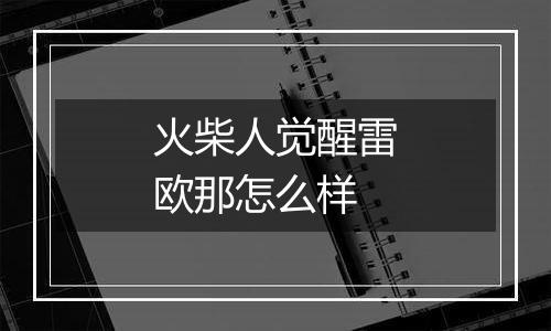 火柴人觉醒雷欧那怎么样
