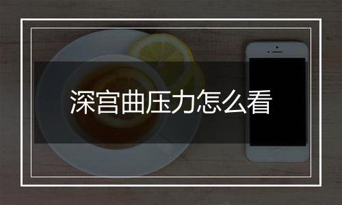 深宫曲压力怎么看