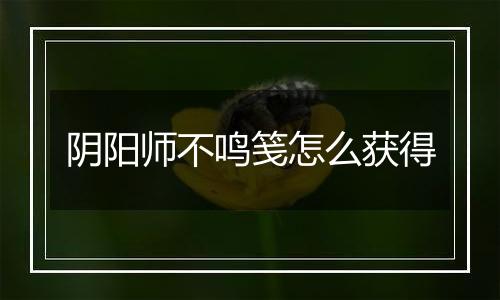 阴阳师不鸣笺怎么获得