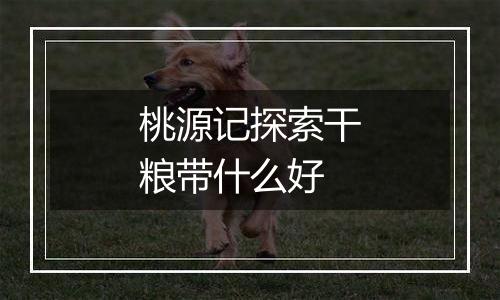 桃源记探索干粮带什么好
