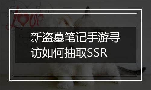 新盗墓笔记手游寻访如何抽取SSR