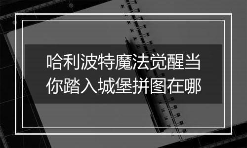 哈利波特魔法觉醒当你踏入城堡拼图在哪