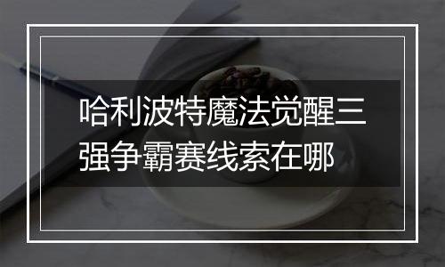 哈利波特魔法觉醒三强争霸赛线索在哪