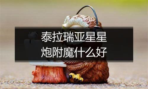 泰拉瑞亚星星炮附魔什么好