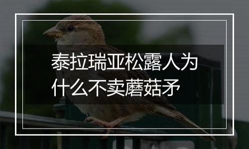 泰拉瑞亚松露人为什么不卖蘑菇矛