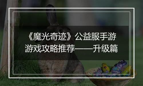 《魔光奇迹》公益服手游游戏攻略推荐——升级篇
