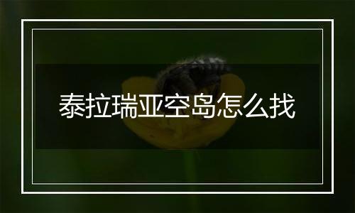 泰拉瑞亚空岛怎么找