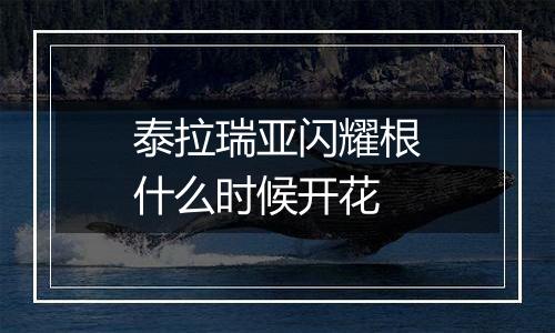 泰拉瑞亚闪耀根什么时候开花