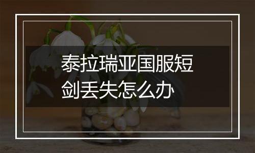 泰拉瑞亚国服短剑丢失怎么办